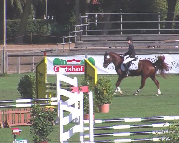 Landesponyturnier Bad Segeberg 2016