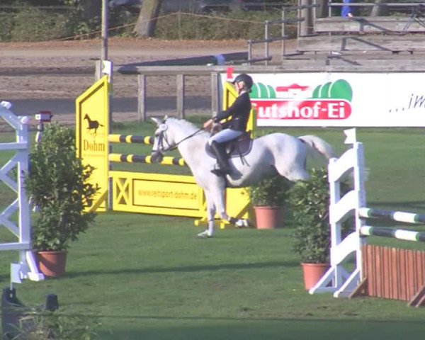 Landesponyturnier Bad Segeberg 2016