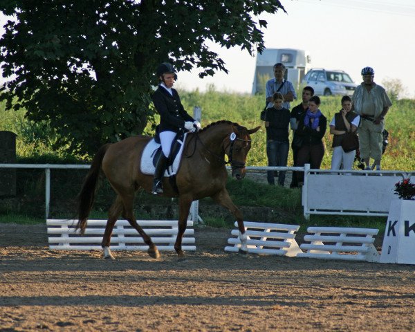 horse Fine Girl Fengari (Hessian Warmblood, 2002, from Floretto N)
