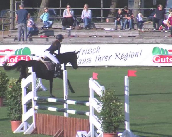 Landesponyturnier Bad Segeberg 2016