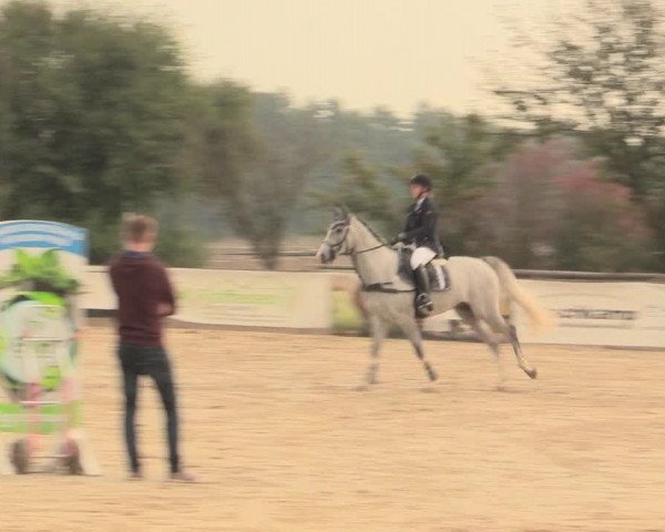 Reitturnier Lüdinghausen-Westrup 2016