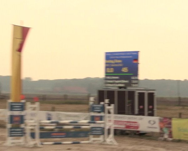 Reitturnier Lüdinghausen-Westrup 2016