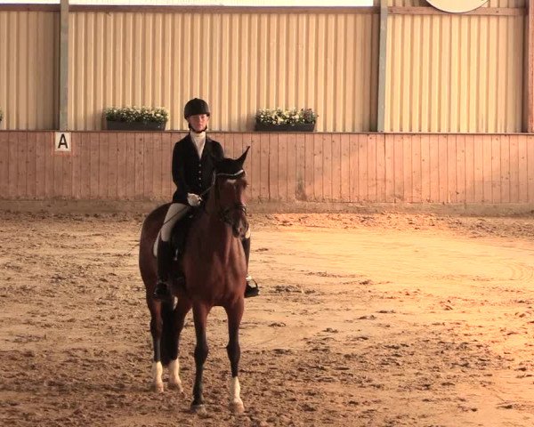 Reitturnier Lüdinghausen-Westrup 2016