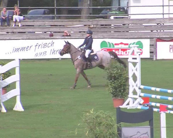 Landesponyturnier Bad Segeberg 2016