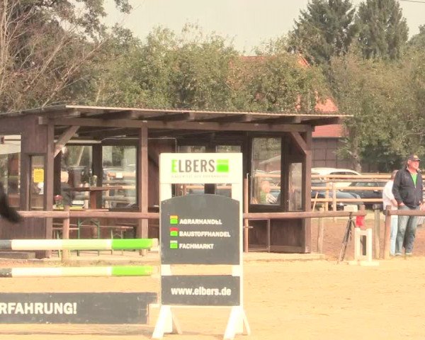 Reitturnier Lüdinghausen-Westrup 2016