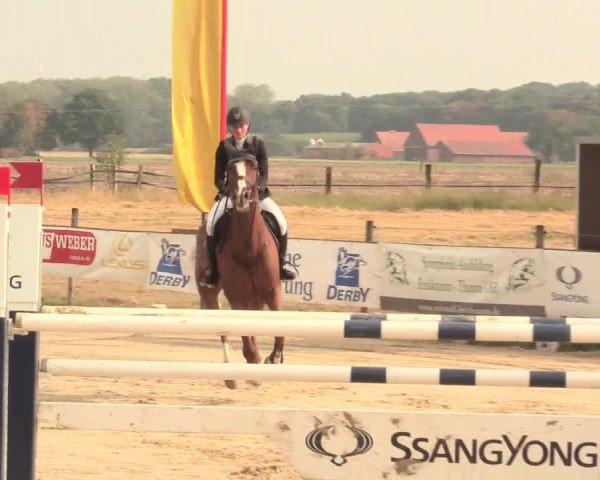 Reitturnier Lüdinghausen-Westrup 2016