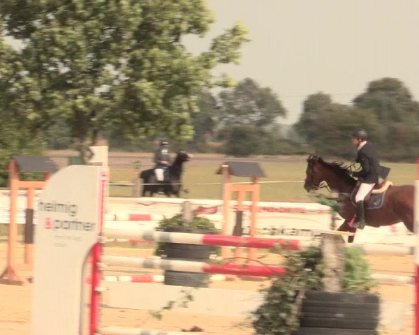 Reitturnier Lüdinghausen-Westrup 2016
