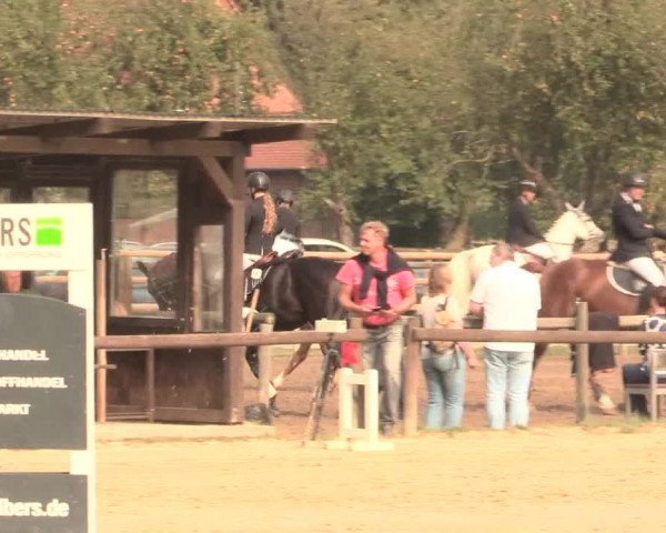 Reitturnier Lüdinghausen-Westrup 2016