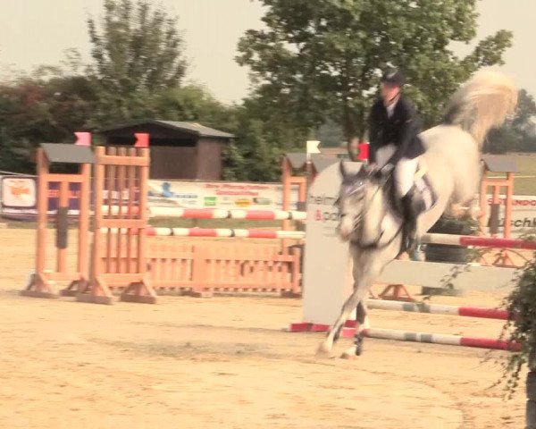 Reitturnier Lüdinghausen-Westrup 2016