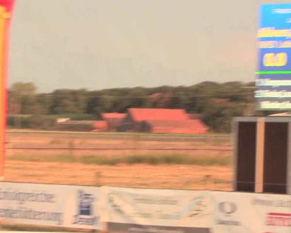 Reitturnier Lüdinghausen-Westrup 2016