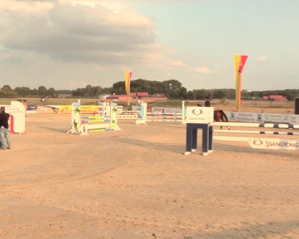 Reitturnier Lüdinghausen-Westrup 2016