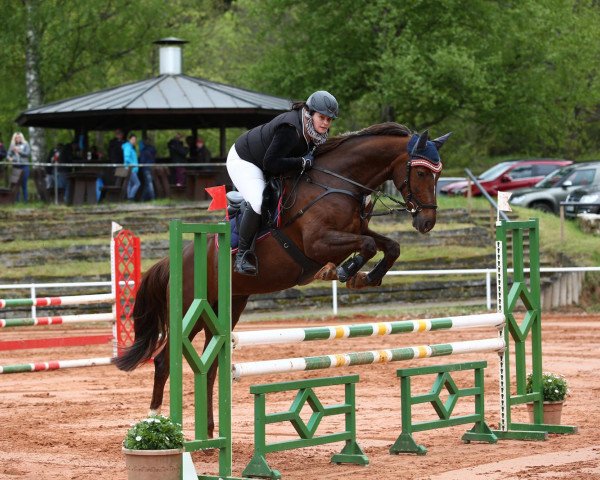 broodmare Little Miss Werder (Zweibrücken, 2012, from Lemwerder)