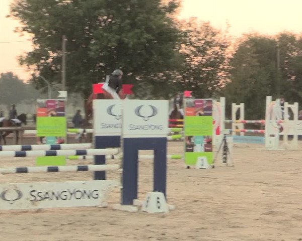 Reitturnier Lüdinghausen-Westrup 2016