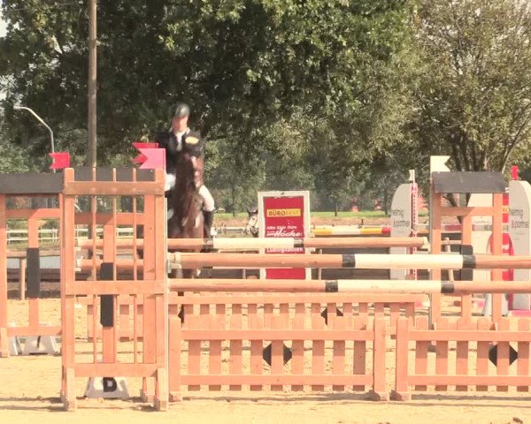 Reitturnier Lüdinghausen-Westrup 2016