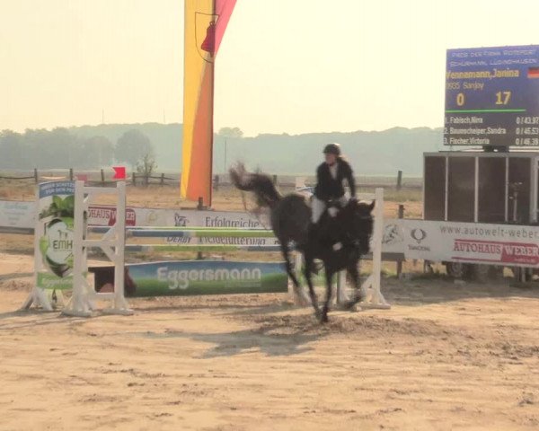 Reitturnier Lüdinghausen-Westrup 2016