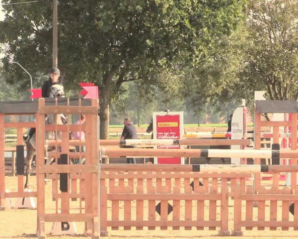 Reitturnier Lüdinghausen-Westrup 2016