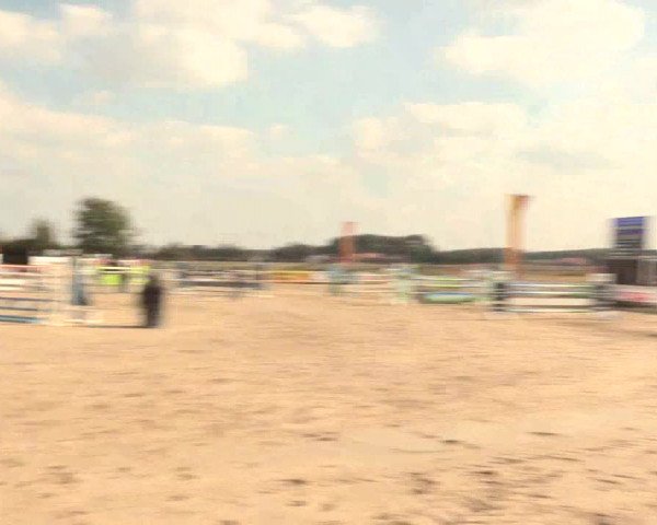 Reitturnier Lüdinghausen-Westrup 2016