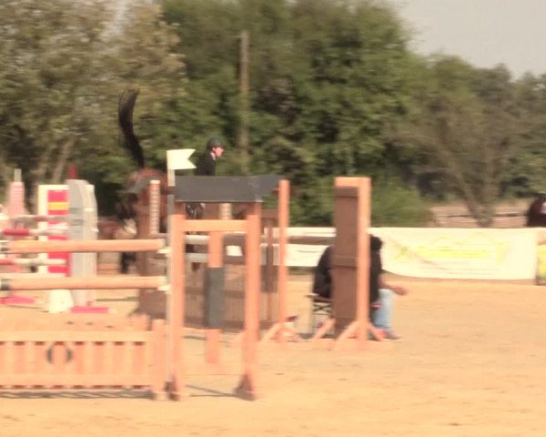 Reitturnier Lüdinghausen-Westrup 2016