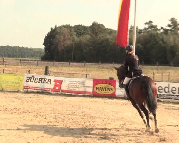 Reitturnier Lüdinghausen-Westrup 2016