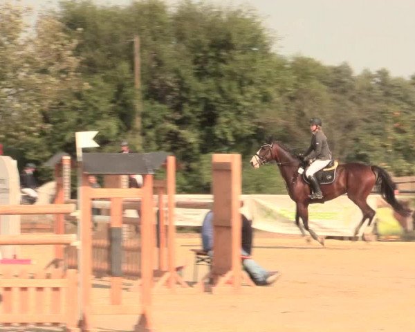 Reitturnier Lüdinghausen-Westrup 2016