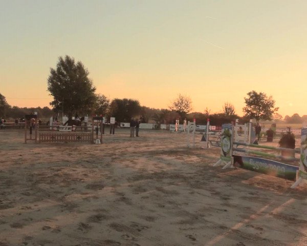 Reitturnier Lüdinghausen-Westrup 2016