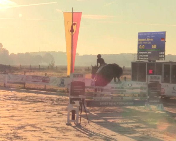 Reitturnier Lüdinghausen-Westrup 2016