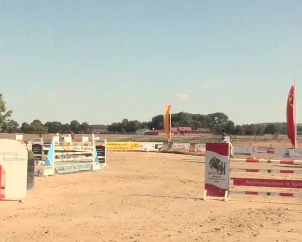 Reitturnier Lüdinghausen-Westrup 2016