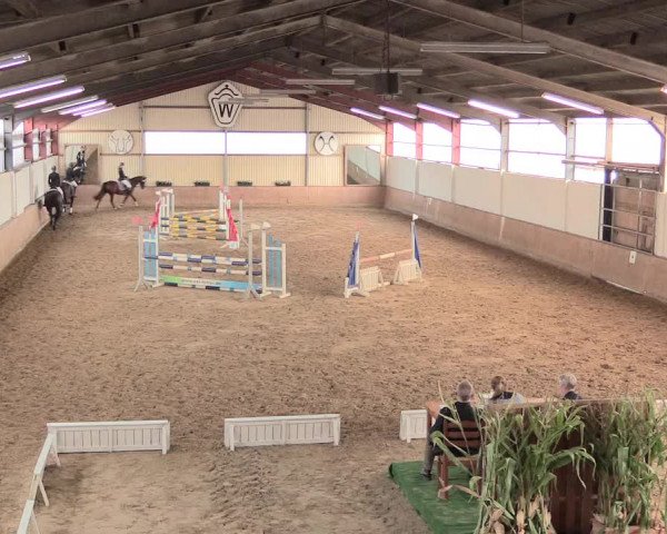 Reitturnier Lüdinghausen-Westrup 2016