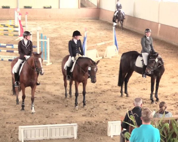 Reitturnier Lüdinghausen-Westrup 2016