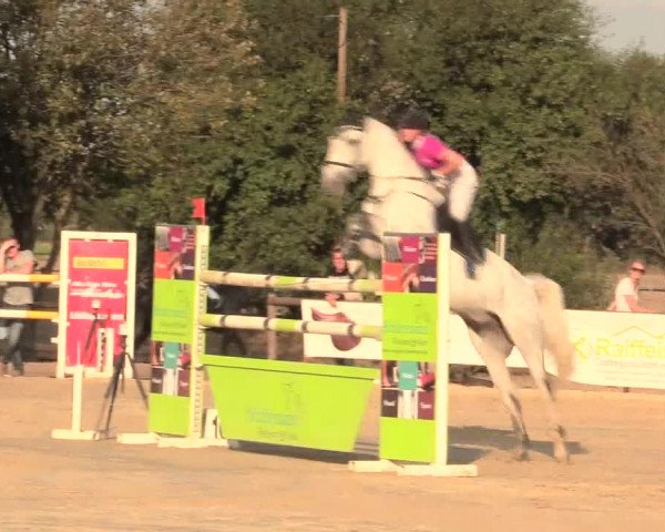 Reitturnier Lüdinghausen-Westrup 2016