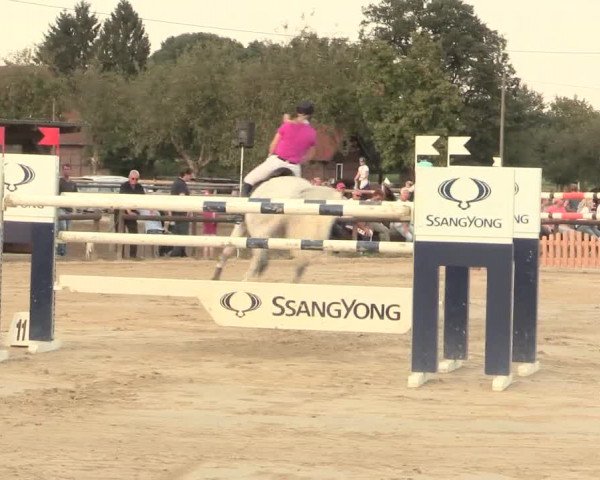 Reitturnier Lüdinghausen-Westrup 2016