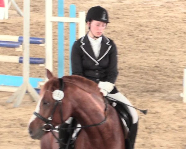 Reitturnier Lüdinghausen-Westrup 2016