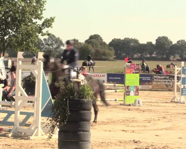 Reitturnier Lüdinghausen-Westrup 2016