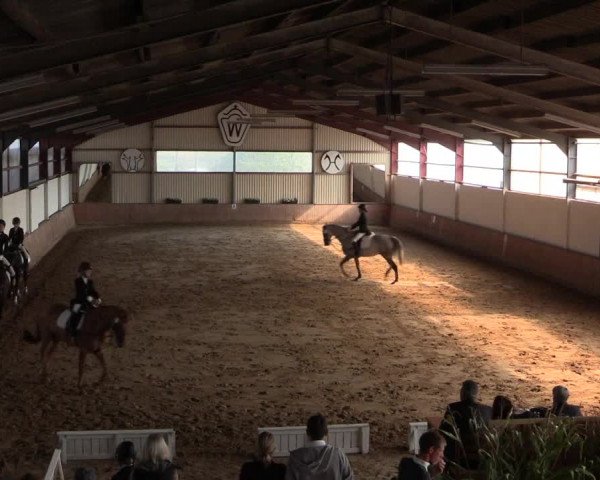 Reitturnier Lüdinghausen-Westrup 2016
