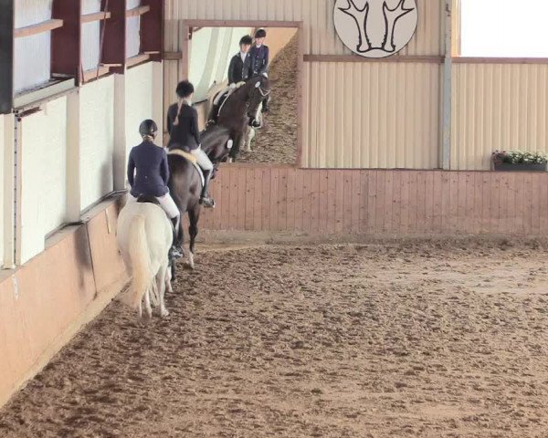 Reitturnier Lüdinghausen-Westrup 2016