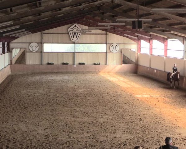 Reitturnier Lüdinghausen-Westrup 2016