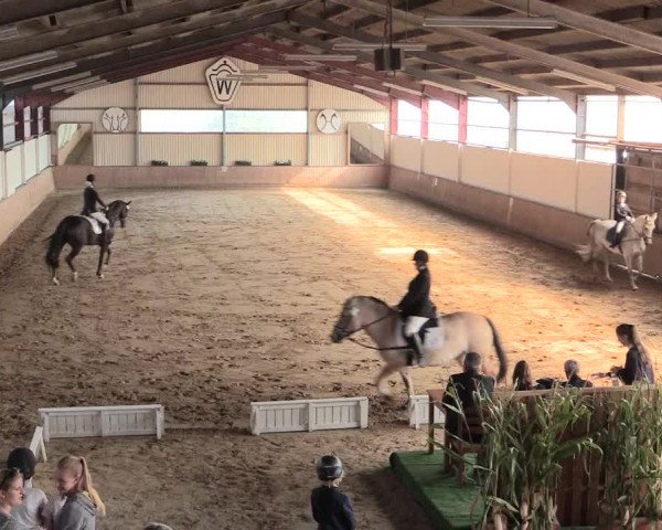 Reitturnier Lüdinghausen-Westrup 2016