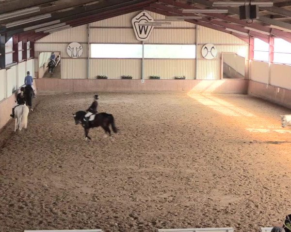 Reitturnier Lüdinghausen-Westrup 2016