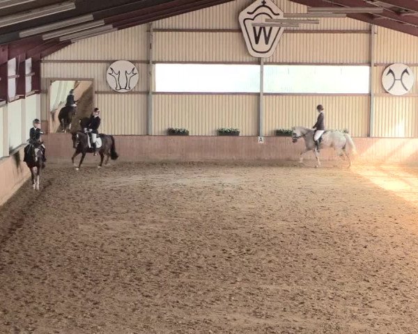 Reitturnier Lüdinghausen-Westrup 2016