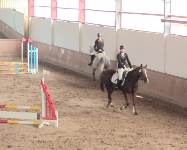 Reitturnier Lüdinghausen-Westrup 2016