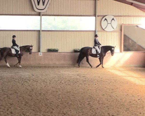 Reitturnier Lüdinghausen-Westrup 2016