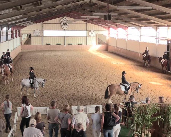 Reitturnier Lüdinghausen-Westrup 2016