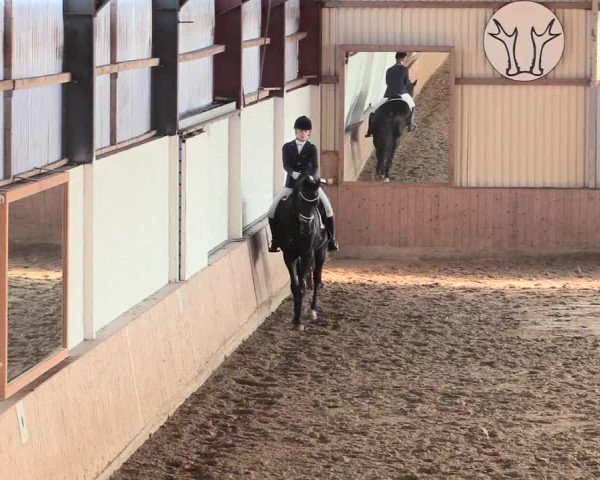 Reitturnier Lüdinghausen-Westrup 2016