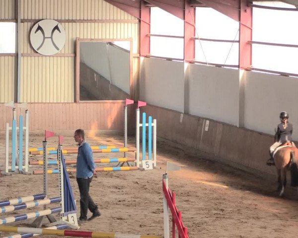 Reitturnier Lüdinghausen-Westrup 2016