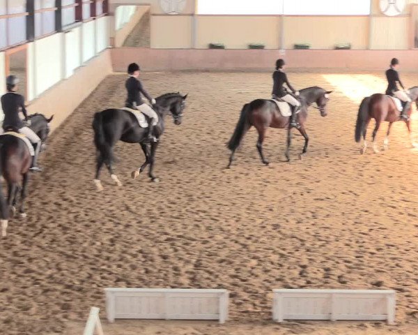 Reitturnier Lüdinghausen-Westrup 2016