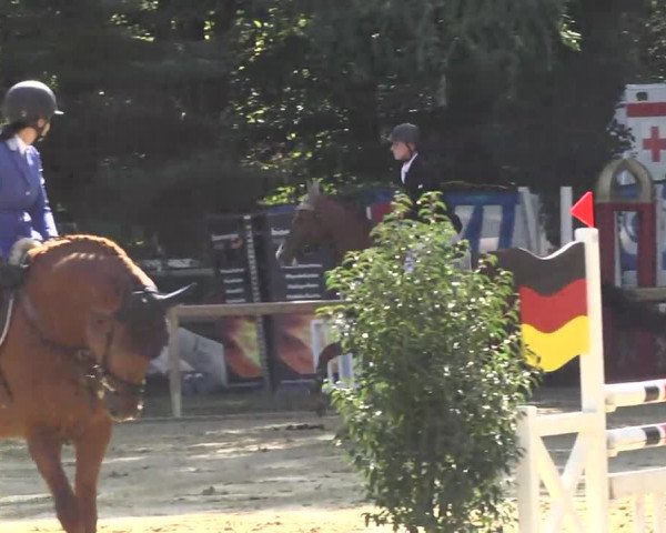 Nordbadische Meisterschaften Springen 2016