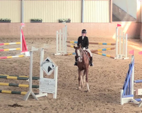 Reitturnier Lüdinghausen-Westrup 2016