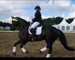 dressage horse Sir George Clooney (Hanoverian, 2011, from St. Moritz Junior)