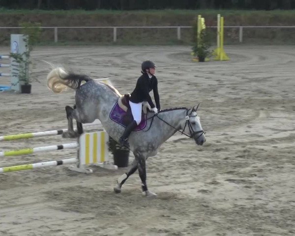 Reitturnier Köln-Leverkusen 2016