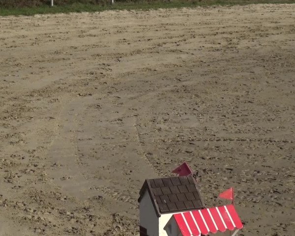 Reitturnier Köln-Leverkusen 2016